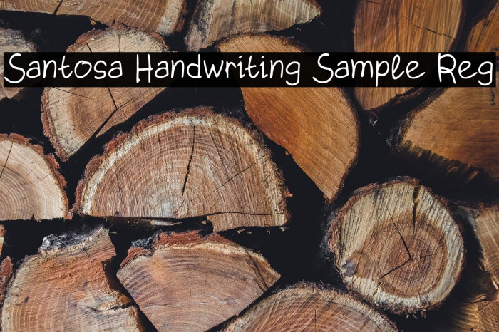 Santosa Handwriting Sample Reg Example 3