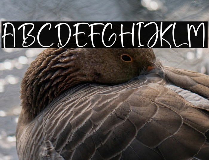 Santtaneck Example 1