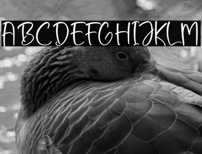 Santtaneck 字体 examples