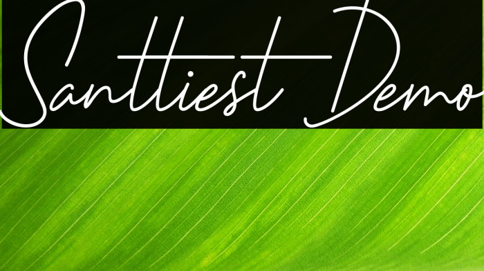 Santtiest Demo Example 1