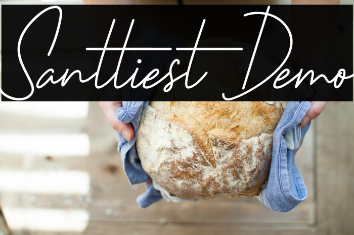 Santtiest Demo Example 2