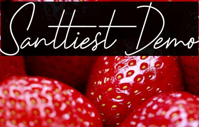 Santtiest Demo Example 3