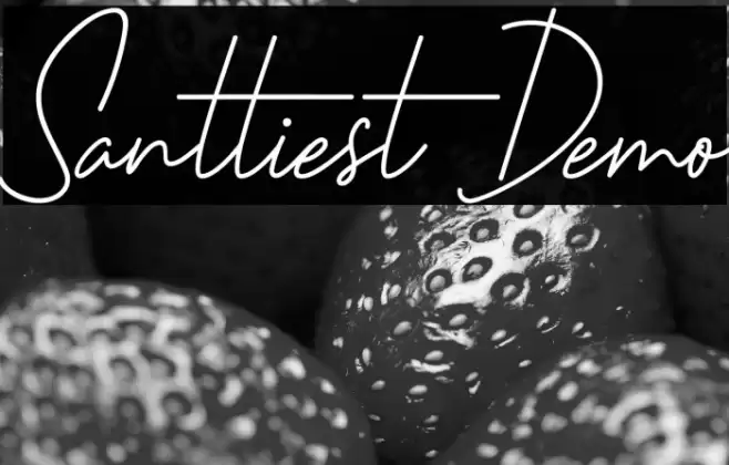 Santtiest Demo Font examples