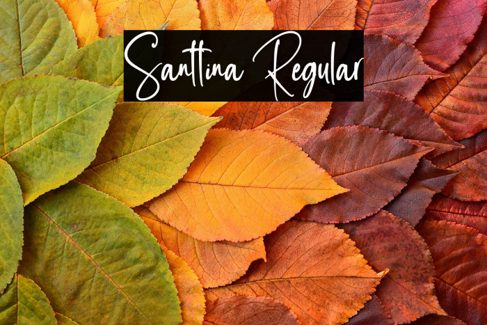 Santtina Regular Example 2