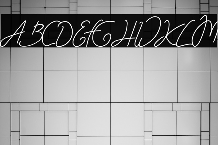 SanttyVelvethiaDemo Example 2