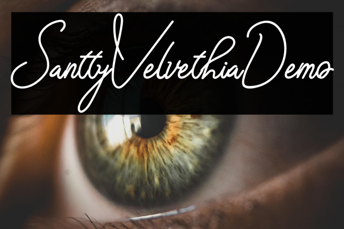 SanttyVelvethiaDemo Example 1