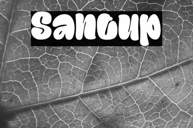 Santup Font examples
