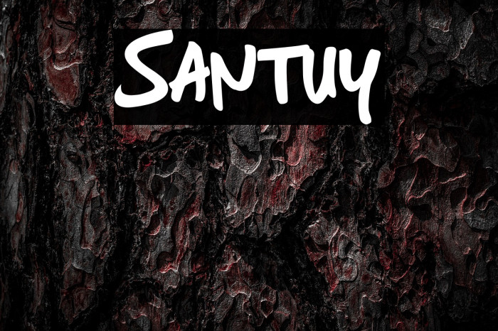 Santuy Example 3