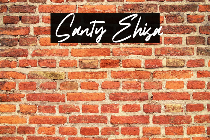 Santy Ehisa Example 1
