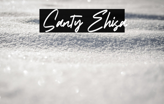 Santy Ehisa Example 2
