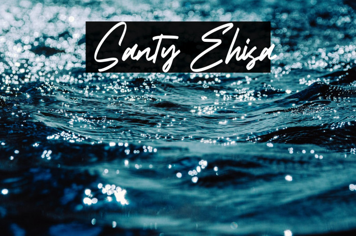 Santy Ehisa Example 3