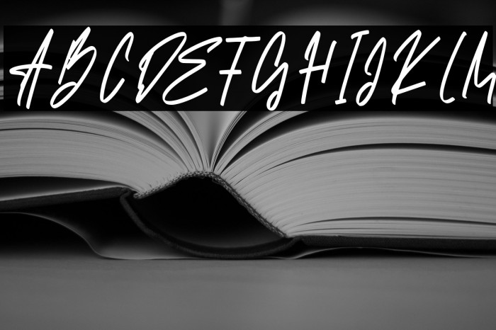 Santy Ehisa Example 2