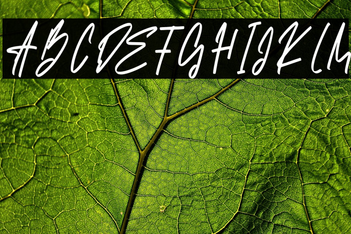 Santy Ehisa Example 3