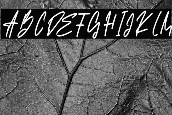 Santy Ehisa Font examples