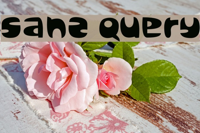 Sanz Query Font examples