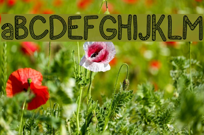 Sanzen Demo Example 1