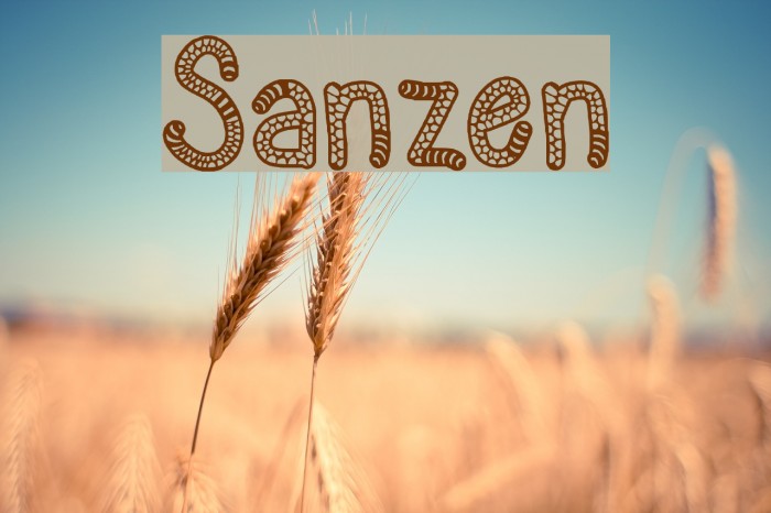 Sanzen Font examples