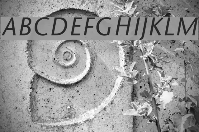 Sapir Italic Font examples