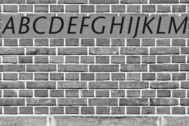 Sapir Italic Font examples