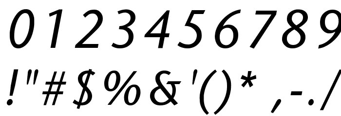 SapirSansItalic Font OTHER CHARS
