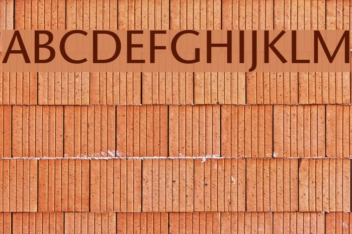 SapirSans Font examples