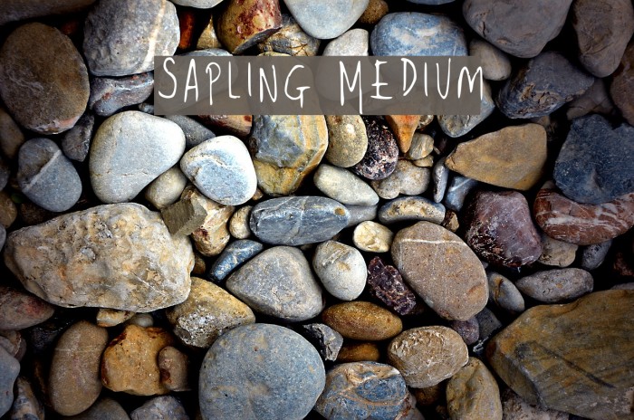 Sapling Medium Font examples