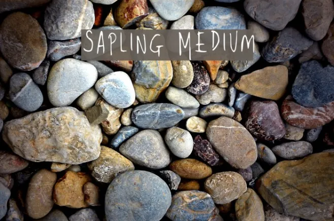 Sapling Medium Example 1