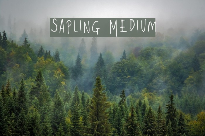Sapling Medium Font examples