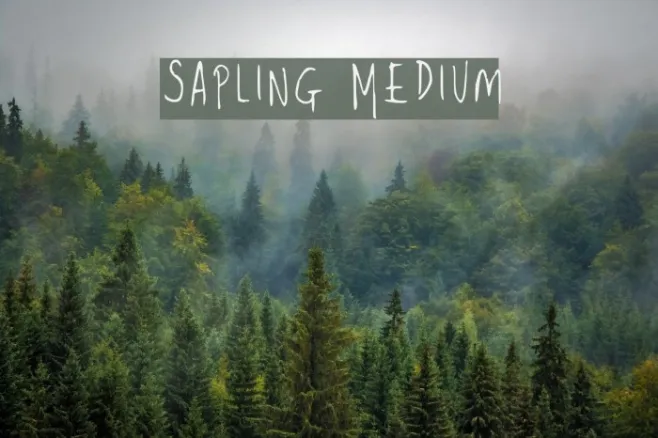 Sapling Medium Example 2