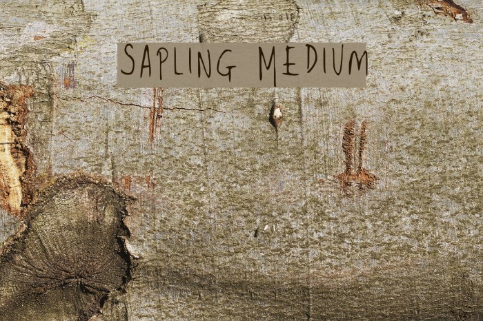 Sapling Medium Font examples