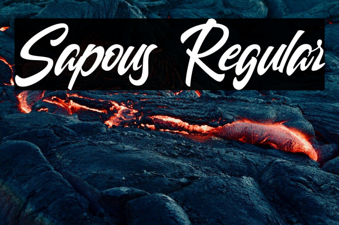 Sapous Regular Example 1