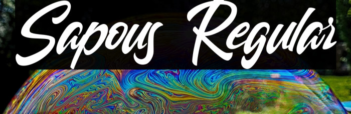 Sapous Regular Example 2