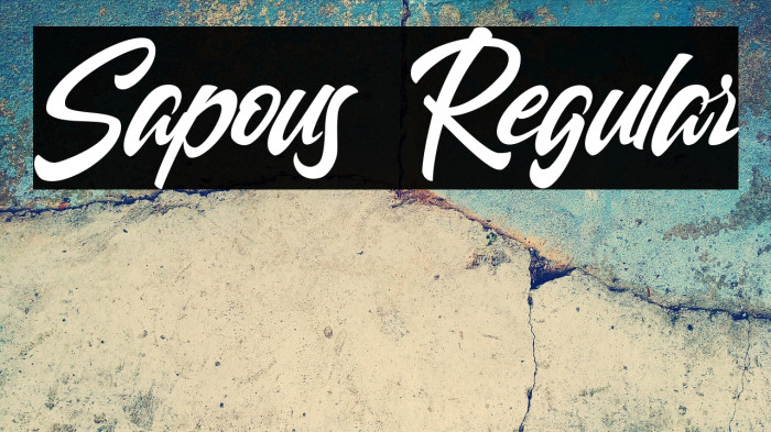 Sapous Regular Example 3