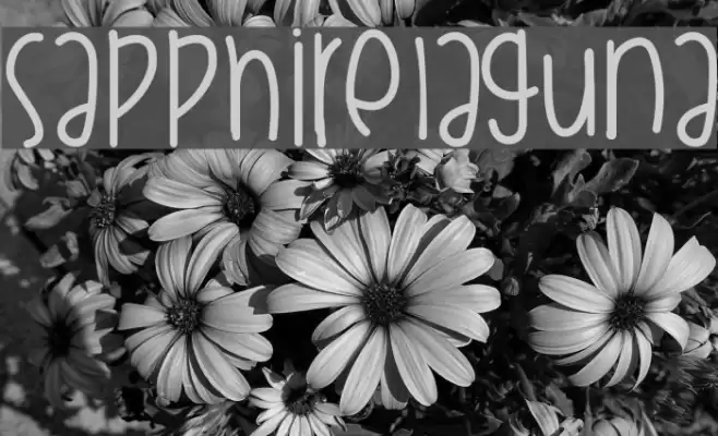 SapphireLaguna Font examples