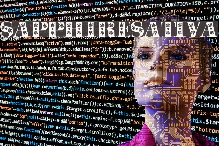 SapphireSativa Example 1