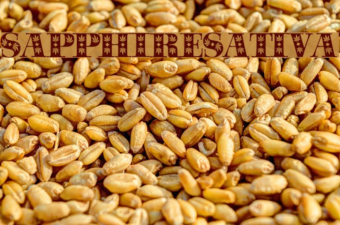 SapphireSativa Example 3