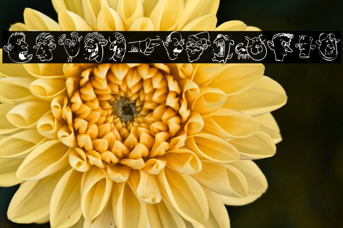 SappyMugs-Regular Example 2