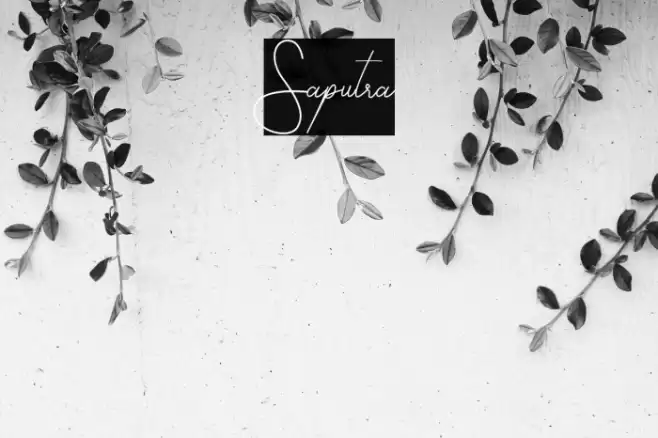 Saputra Font examples