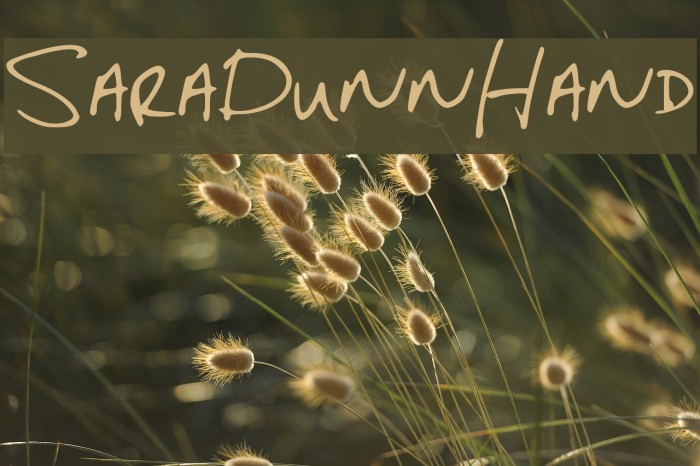 SaraDunn_Hand Font examples