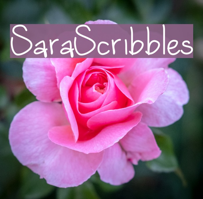 SaraScribbles Font examples