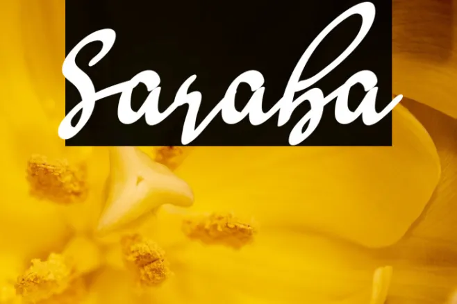 Saraba Example 2