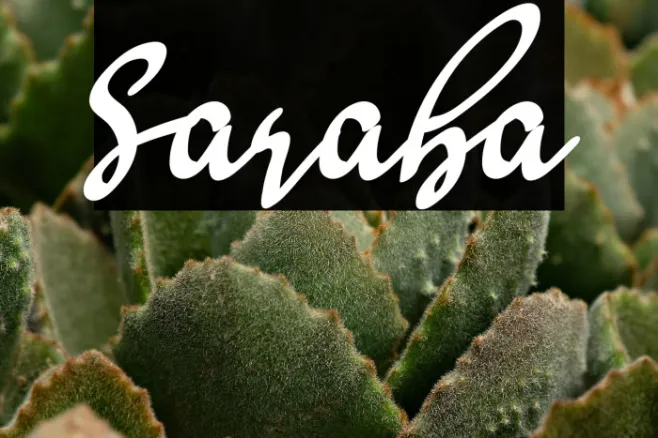 Saraba Example 3