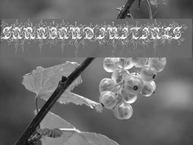 Saraband Initials Font examples