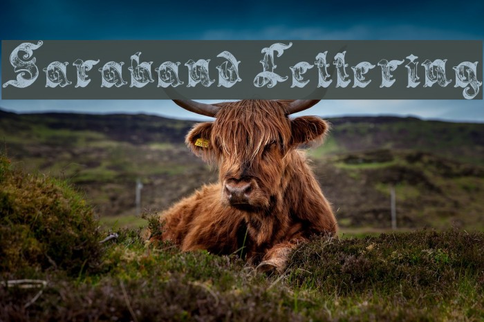 Saraband Lettering Font examples