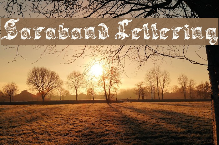 Saraband Lettering Font examples