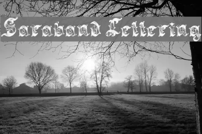 Saraband Lettering Schriftart examples