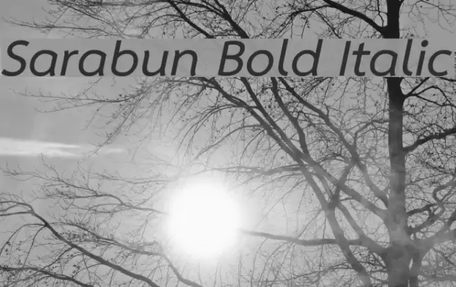 Sarabun Bold Italic Font examples