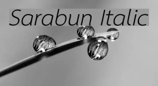 Sarabun Italic Font examples