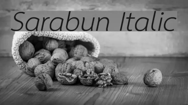 Sarabun Italic Font examples