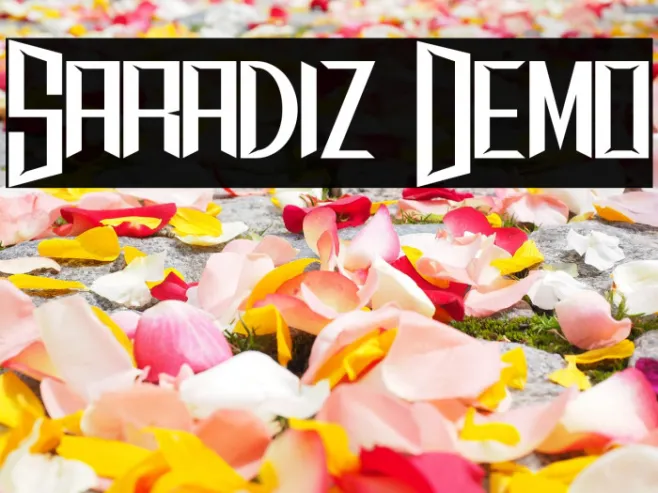 Saradiz Demo Example 1
